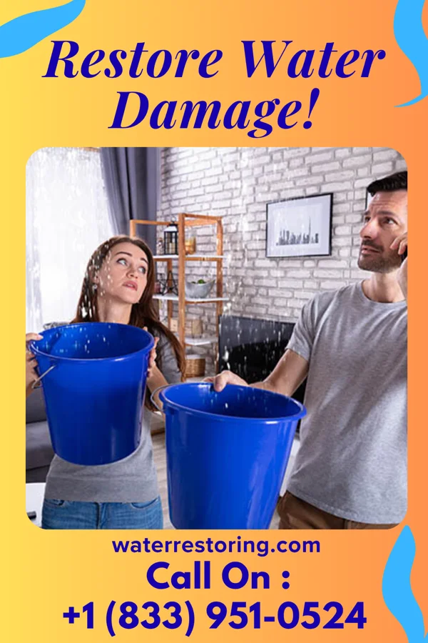 water restoration Solid Flood Recovery Services Maplewood