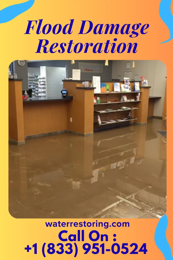 Flood Damage Restoration in Maplewood, MN