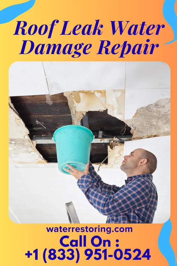 Roof Leak Water Damage Repair in Maplewood, MN