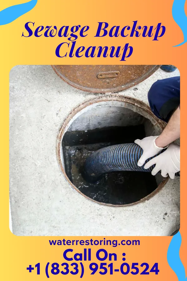 Sewage Backup Cleanup in Maplewood, MN